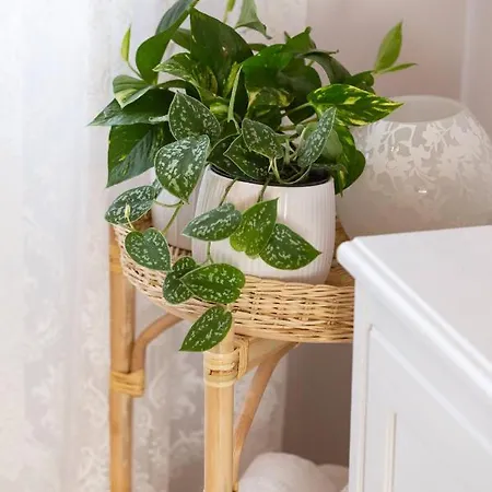 Casa Alegria Feriehus Olympiada