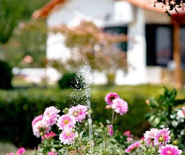 Casa Alegria