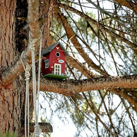 Дом отдыха Casa Alegria