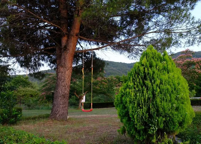 Casa Alegria Case de vacanță *