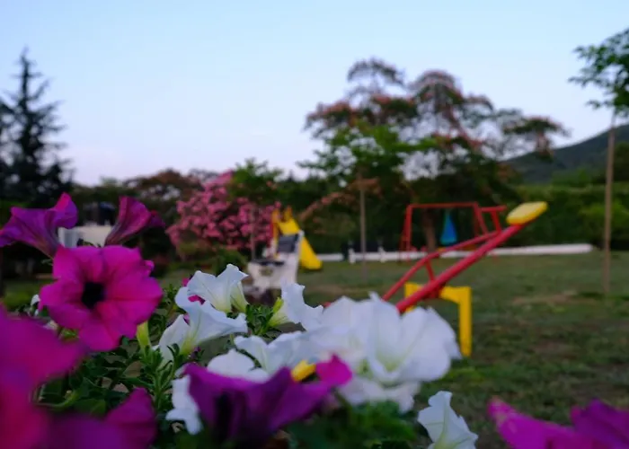 Case de vacanță Casa Alegria