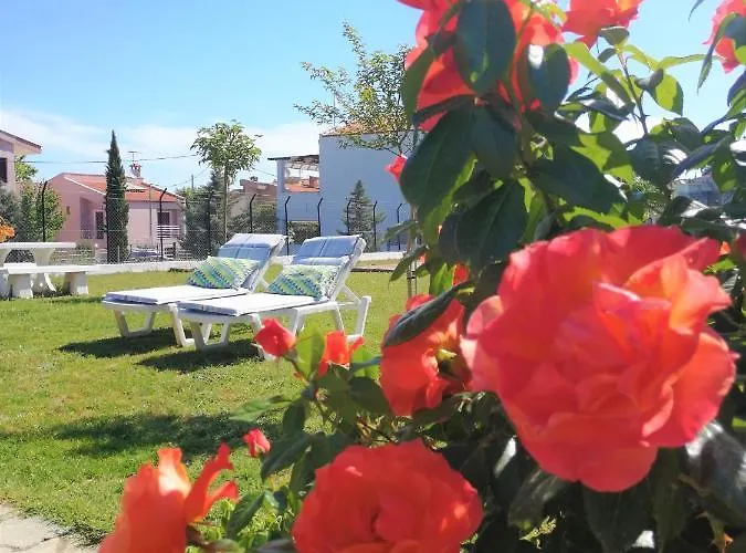 Casa Alegria Case de vacanță *