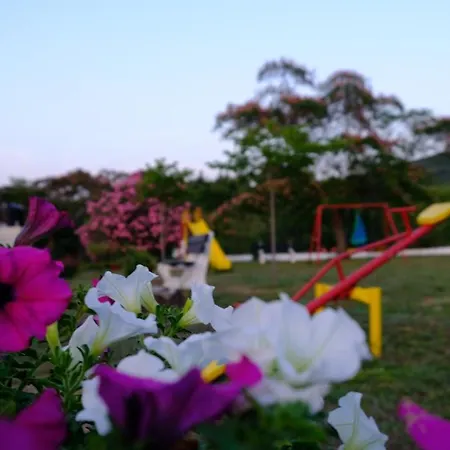 Vakantiehuis Casa Alegria