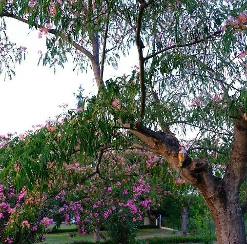 度假居 Casa Alegria